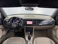 Volkswagen Beetle Cabriolet 2.0 TSI SPORT BI-XENON+NAVI+ Negro - thumbnail 14