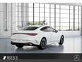Mercedes-Benz CLE 300 4M AMG Sport Night Burmes HUD Pano 360 Blanc - thumbnail 7