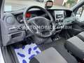 Iveco DALIY 35S14 KASTEN*HOCH/LANG*AHK*AUFFAHRRAMPE* Blanc - thumbnail 36