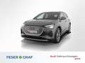 Audi Q4 e-tron 40 e-tron AHK / Sportsitze / Alu19 / PDC Plus Grijs - thumbnail 1