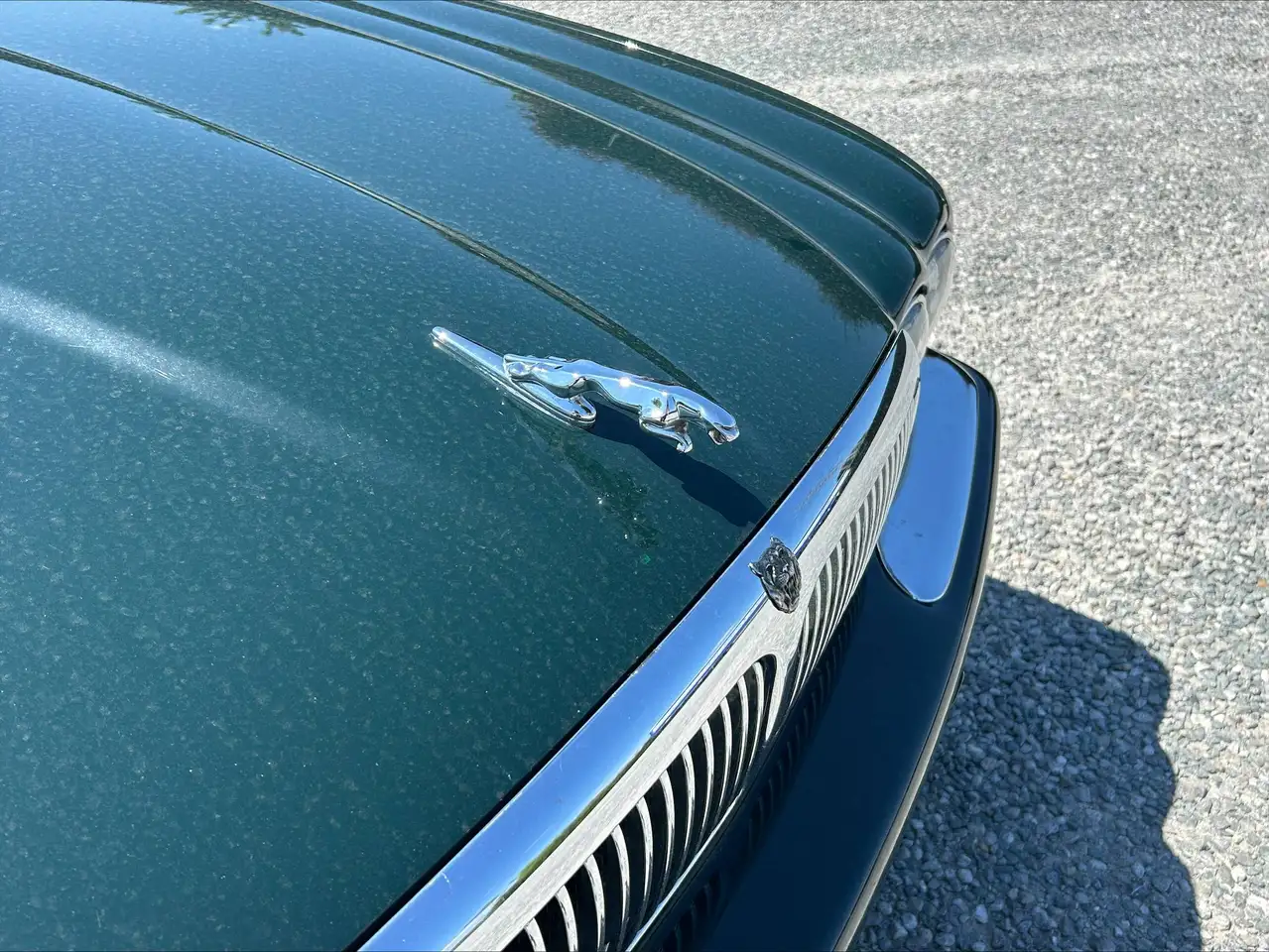 Jaguar XJ8 3.2i V8 Sovereign, foto 6