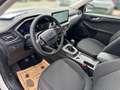 Ford Kuga Titanium NEUWAGENAKTION Blanc - thumbnail 8