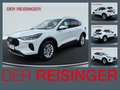 Ford Kuga Titanium NEUWAGENAKTION Blanc - thumbnail 1