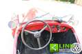 Fiat Balilla 508 spider RESTAURATA Rot - thumbnail 11