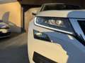 Skoda Kodiaq Ambition 2.0 Tdi DSG 4x4 190cv Wit - thumbnail 15