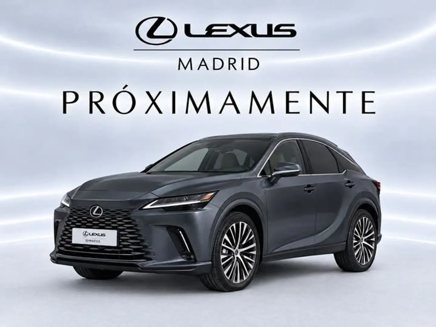 Lexus RX 450h 450h+ Executive Gris - 1
