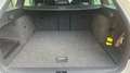 Skoda Octavia Combi 2.0 TDI (Green tec) DSG RS Alb - thumbnail 9