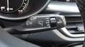 Alfa Romeo Stelvio 2.2 Turbodiesel 210 CV AT8 Q4 Executive Bianco - thumbnail 34
