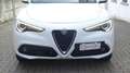 Alfa Romeo Stelvio 2.2 Turbodiesel 210 CV AT8 Q4 Executive Bianco - thumbnail 5