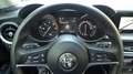 Alfa Romeo Stelvio 2.2 Turbodiesel 210 CV AT8 Q4 Executive Bianco - thumbnail 10
