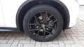 Alfa Romeo Stelvio 2.2 Turbodiesel 210 CV AT8 Q4 Executive Bianco - thumbnail 47