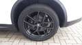 Alfa Romeo Stelvio 2.2 Turbodiesel 210 CV AT8 Q4 Executive Bianco - thumbnail 48