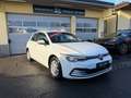 Volkswagen Golf Rabbit 1,0 TSI *Werksgarantie*Keyless*Sitzheizung* Weiß - thumbnail 2