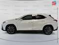 Lexus UX 250h 250H 2WD F SPORT EXECUTIVE MY22 Weiß - thumbnail 9