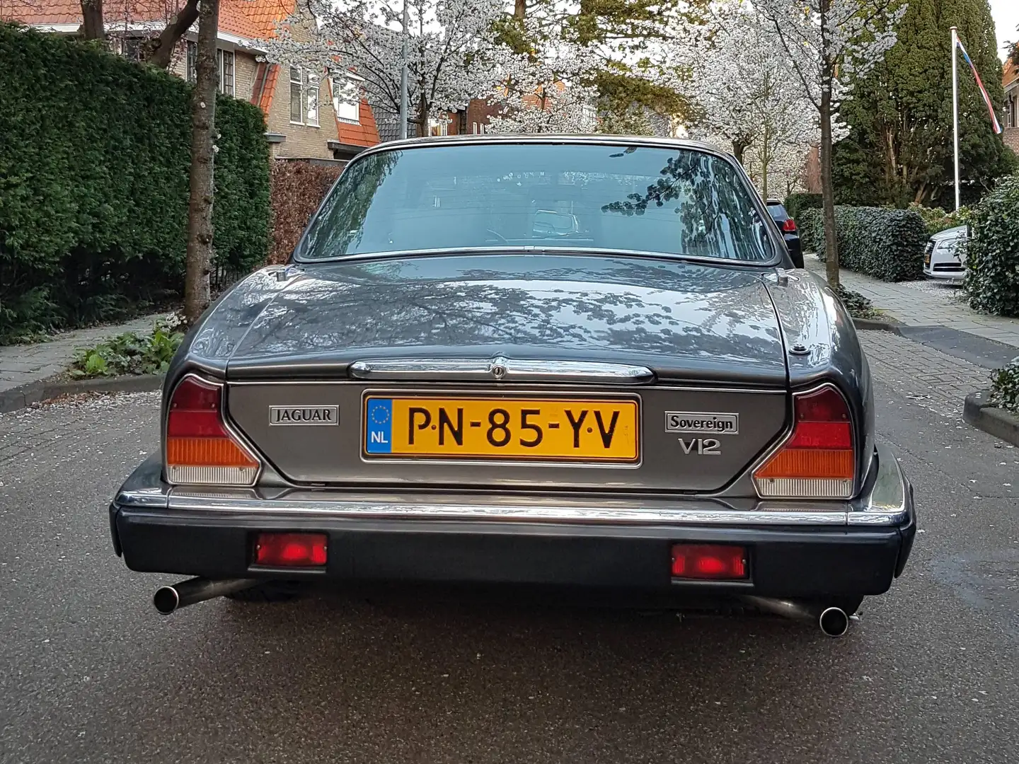 Jaguar Sovereign Sovereign 5.3 V12 Grau - 2