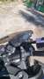 Yamaha MT-09 sp Blu/Azzurro - thumbnail 4