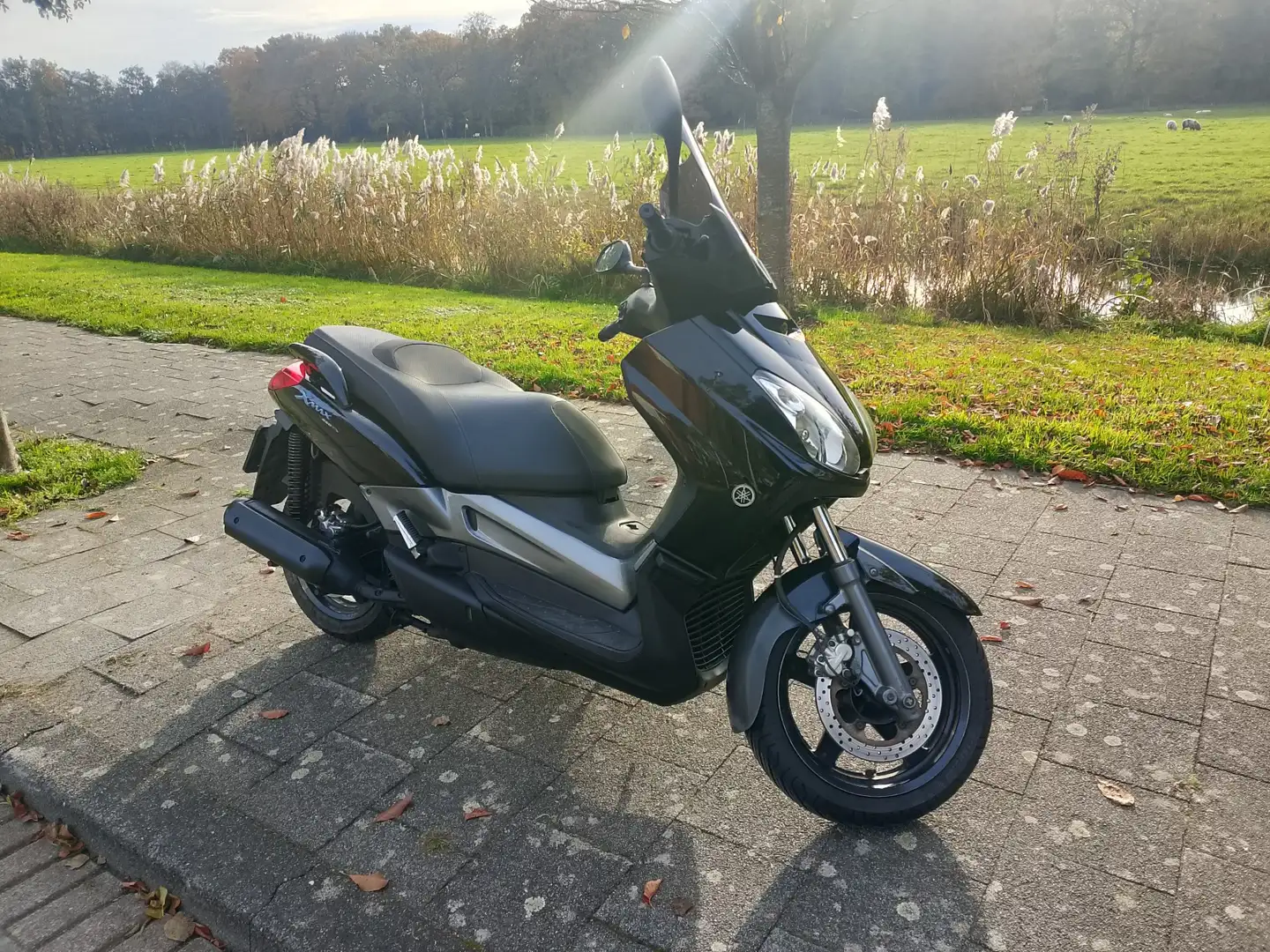 Yamaha X-Max 250 250i black Zwart - 1