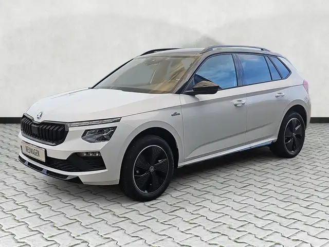 Skoda Kamiq view 3