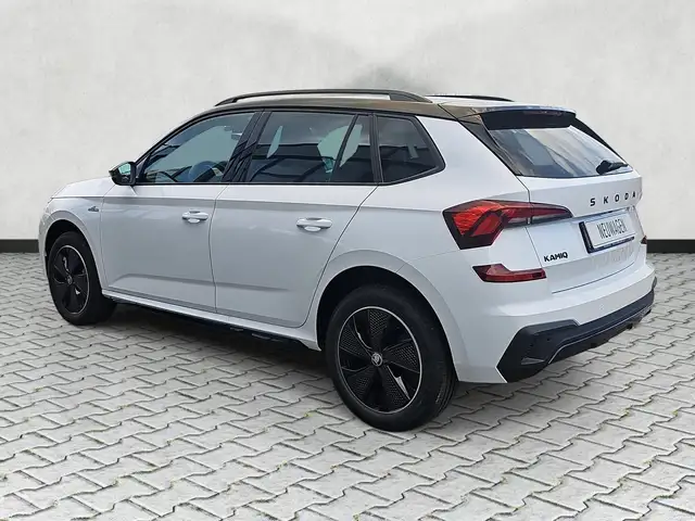 Skoda Kamiq view 5