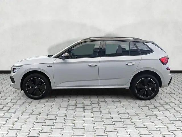 Skoda Kamiq view 4