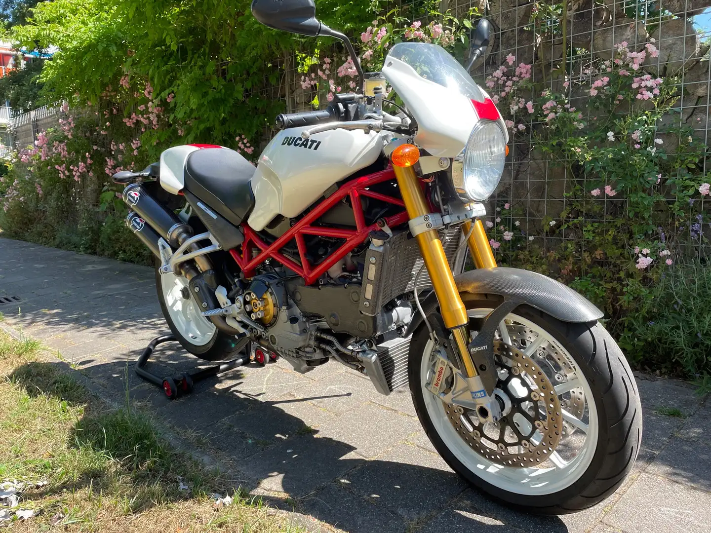 Ducati Monster S4R S4RS 998 Wit - 2