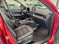 Mazda CX-5 Sports-Line AWD 360-Kamera Head-UP SHD Leder Klima Rot - thumbnail 7