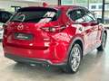 Mazda CX-5 Sports-Line AWD 360-Kamera Head-UP SHD Leder Klima Rot - thumbnail 6