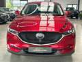 Mazda CX-5 Sports-Line AWD 360-Kamera Head-UP SHD Leder Klima Rot - thumbnail 2
