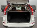 Honda CR-V Executive 4WD MEMO*BI-XENON*KAM*U-FREI Weiß - thumbnail 17