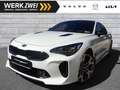 Kia Stinger 3,3T GDI GT AWD Head up Schiebedach Wit - thumbnail 1