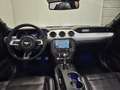 Ford Mustang Cabrio 2.3 EcoBoost Autom. - GPS - Topstaat! 1S... Gris - thumbnail 11