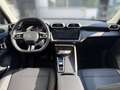 MG ZS Hybrid+ Luxury MY25 LED|360|Leder|Sitzhzg|ACC Vert - thumbnail 10
