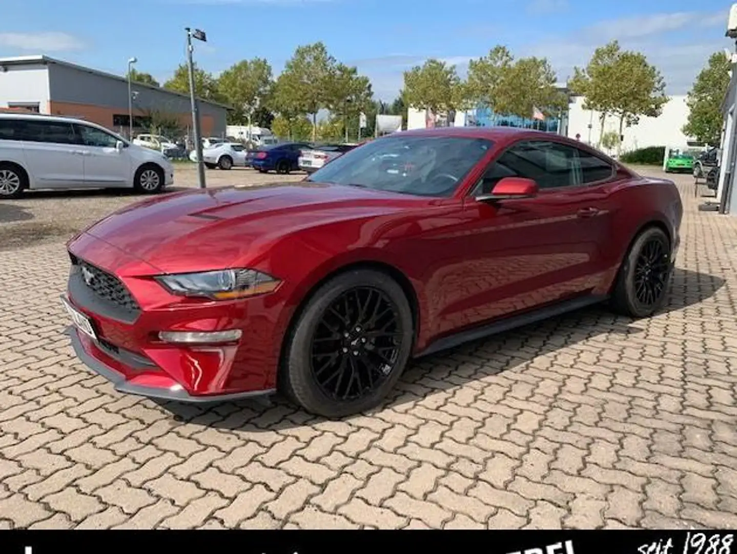 Ford Mustang Premium 2.3 Leder Facelift Unfallfrei CARFAX Rot - 1