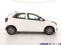 Kia Picanto 1.0 12V GPL 5 porte Urban Wit - thumbnail 5