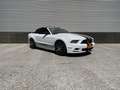 Ford Mustang 3.7 V6 Cabriolet Automaat Big screen Wit - thumbnail 22