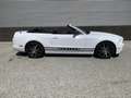 Ford Mustang 3.7 V6 Cabriolet Automaat Big screen Wit - thumbnail 17