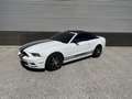 Ford Mustang 3.7 V6 Cabriolet Automaat Big screen Wit - thumbnail 21