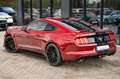 Ford Mustang 3,7 EXKLUSIVE SHELBY GT 500 NAV SitzHz Rood - thumbnail 14