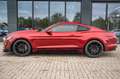 Ford Mustang 3,7 EXKLUSIVE SHELBY GT 500 NAV SitzHz Rojo - thumbnail 11