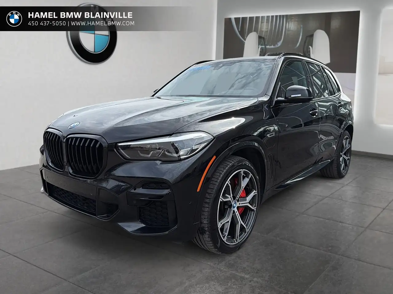 2023 BMW X5