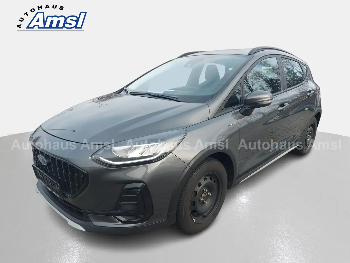 Ford Fiesta 1.0 EcoBoost  Active Garantie 2027* PDC Gris - 2