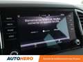 Skoda Karoq 1.6 TDI Business DSG7 Gris - thumbnail 22