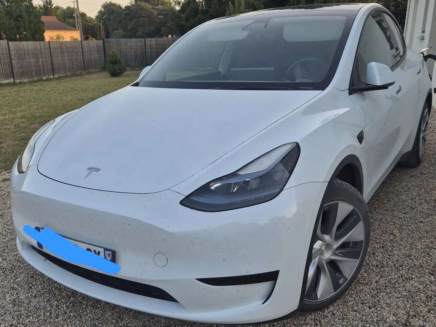 Tesla Model Y RWD Standard Blanc - 1