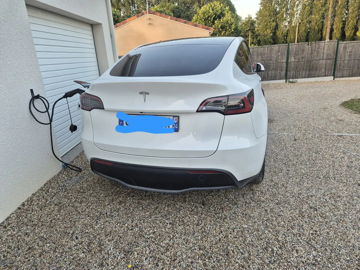 Tesla Model Y RWD Standard Blanc - 2