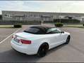 Audi A5 Cabrio 2.0 tdi Business Plus 190cv multitronic Bianco - thumbnail 2