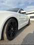 Audi A5 Cabrio 2.0 tdi Business Plus 190cv multitronic Bianco - thumbnail 6
