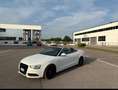 Audi A5 Cabrio 2.0 tdi Business Plus 190cv multitronic Bianco - thumbnail 15