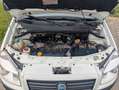Fiat Doblo Doblò 1.9 JTD SX Maxi Kasten*AHK*RADIO-CD Weiß - thumbnail 20