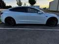 Tesla Model 3 Model 3 Performance AWD 75 kWh Weiß - thumbnail 4