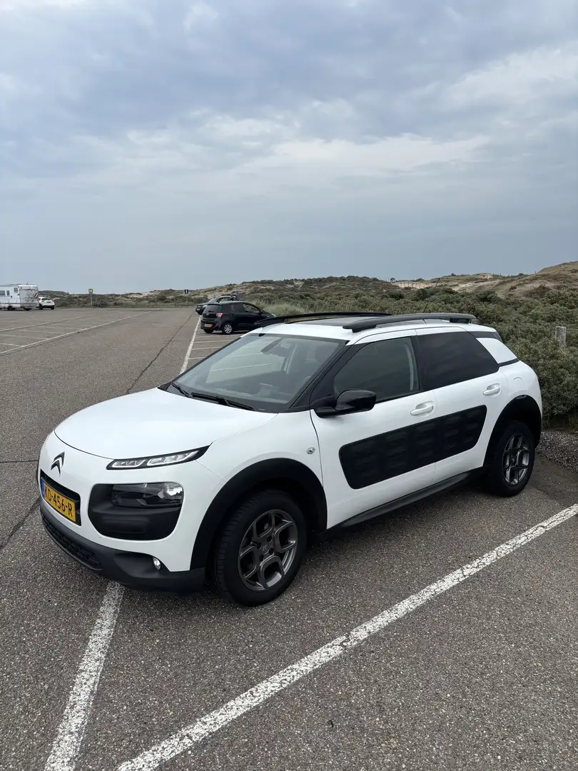 Citroen C4 Cactus 1.2 PureTech Shine Wit - 2